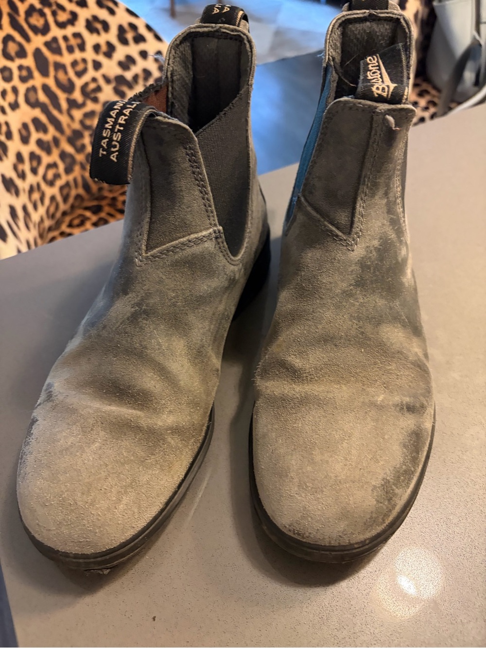 Blundstone women’s Chelsea Boot in Grey Suede